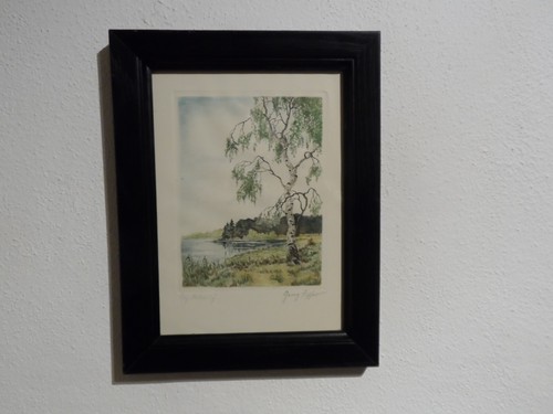 Orig radierung georg - orig., fischer
