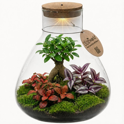 Mini terrarium diy - mini-terrarium,