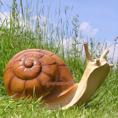 Schnecke schneckenhaus figur - schnecke,