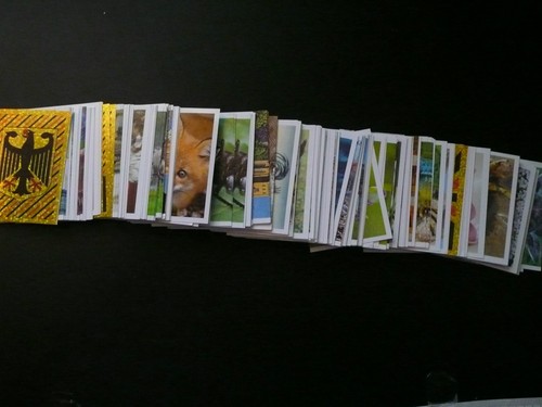 Rewe panini unser - 22,