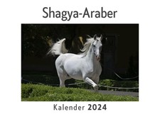 Shagya-Araber (Wandkalender