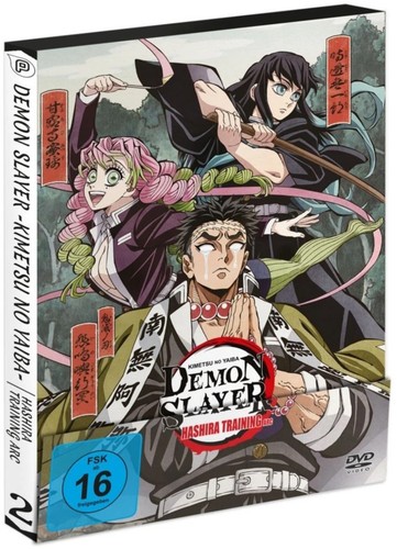 Demon slayer hashira - slayer,