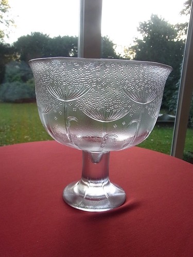 Rosenthal blütenregen nanny - blütenregen,