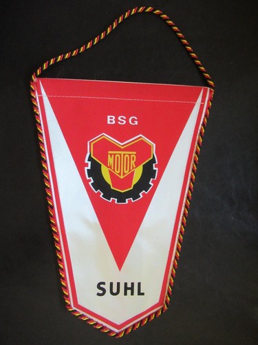 Bsg motor suhl - bsg,