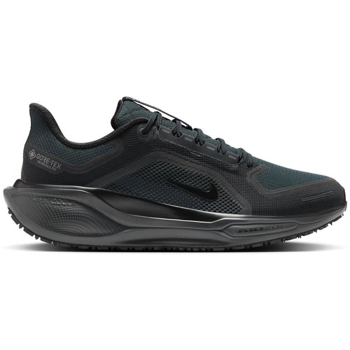 Nike pegasus gtx - pegasus,