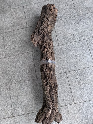 Xxl kork röhre - xxl, |