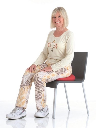 Dynair keil ballkissen premium - dynair,