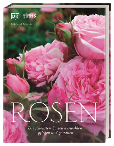 Rosen die schönsten sorten - |,