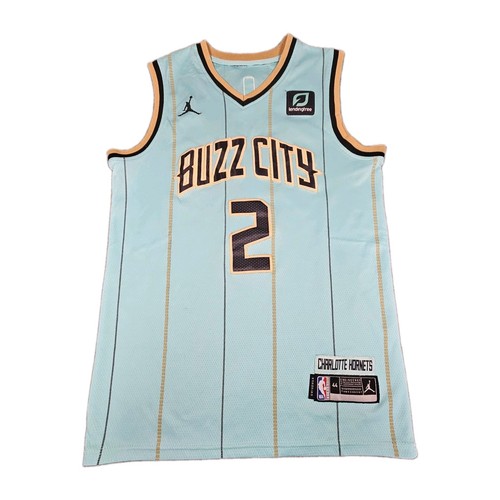 Nike charlotte hornets trikot - charlotte,