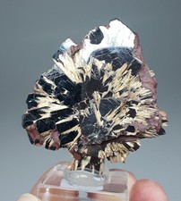 Rutil Epitaxie auf Hämatit -