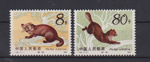 Tiere animals zobel china - -,
