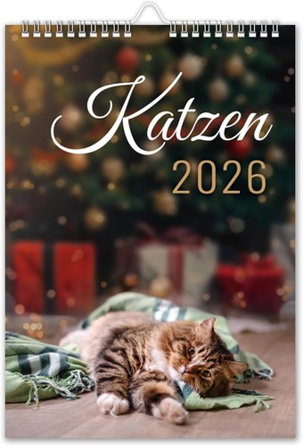 Kalender 2026 katzen - kalender,