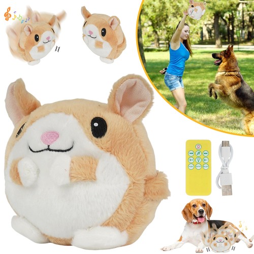 Bewegendes hundeball - bewegendes,