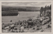 EK94, Ansichtskarten, Postkarten, Geschwenda, Thür. Wald, 1957