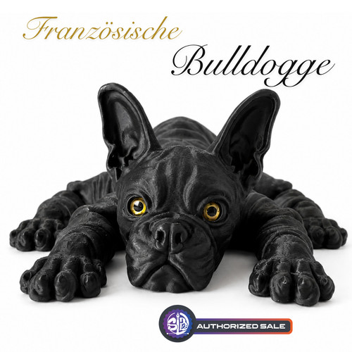 Neu französische bulldogge - neu,