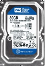 FESTPLATTE WD CAVIAR BLUE 80GB