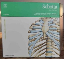 Sobotta Lernkarten Anatomie