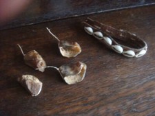 Kauri Muscheln auf Lederband + Ziegenzehenkappen + Kaurimuschel-Armband...