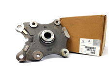 Achsschenkelbolzen hinten