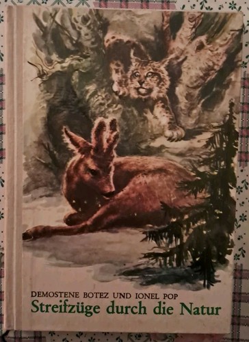 Kinderbuch ddr streifzüge - kinderbuch, ddr-streifzüge