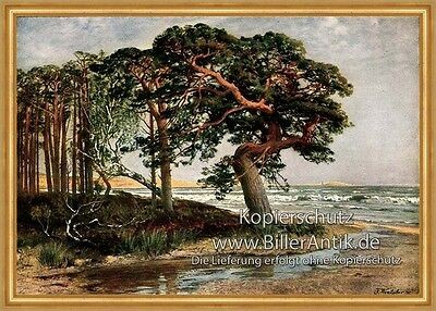 Ostseestrand julius wentscher - ostseestrand,