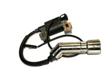 SCHEPPACH WCP4800 Häcksler - Zündspule für Gartenhäcksler Benzinmotor