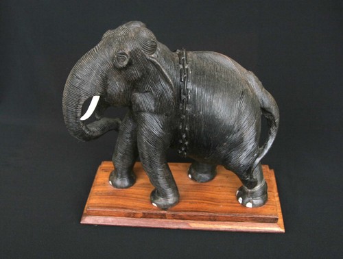 Elefant höhe cm - elefant, (indien)