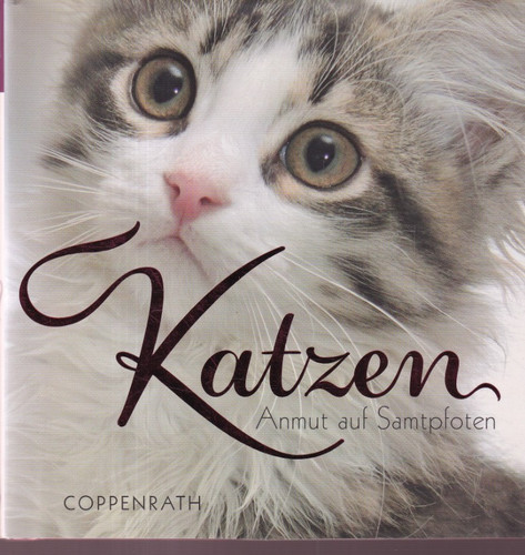 Bellibri katzen anmut auf - bellibri:,