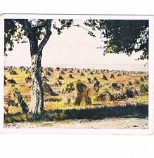 Auf Deutscher Scholle Nr. 105