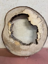 Baumscheibe, Holzscheibe