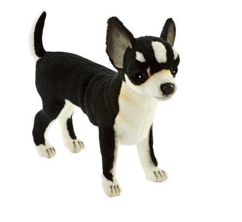 Hansa toy 6367 chihuahua - hansa,