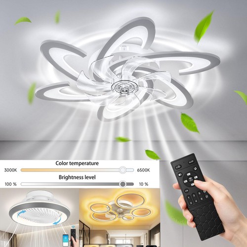 Deckenventilator mit