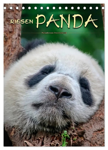 Peter roder riesenpanda - peter,