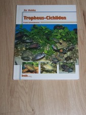 Tropheus - Cichliden -