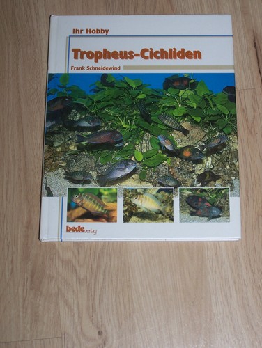 Tropheus cichliden - tropheus,