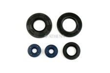 Engine oil seals kit /