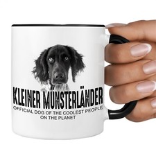Münsterländer kleiner Hund