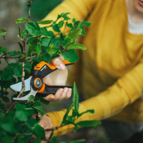 Fiskars gartenscheren set - fiskars,