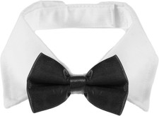 Hund Hochzeit Fliege Für