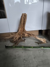 Treibholz Schwemmholz