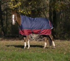 Pferde outdoordecke 50g - outdoordecke,