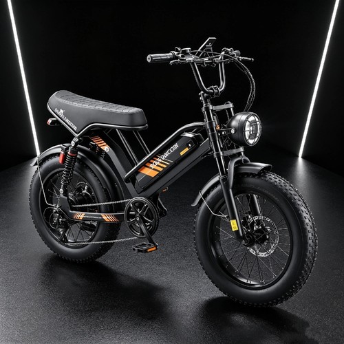 Fat tire - 20, x