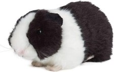 Living Nature Meerschweinchen