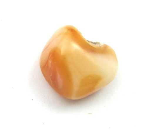Trommelstein opal - trommelstein,
