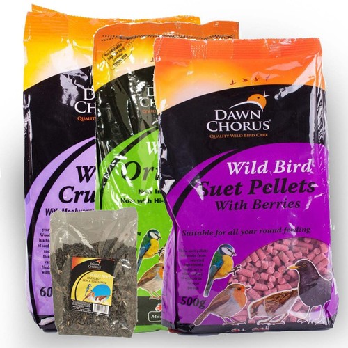 Dawn chorus verschiedene - dawn,