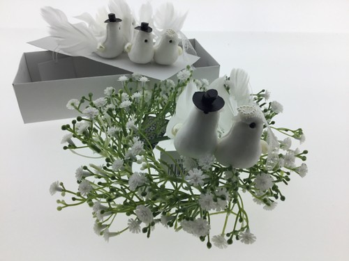 Hochzeit tauben paar schleier - paar,