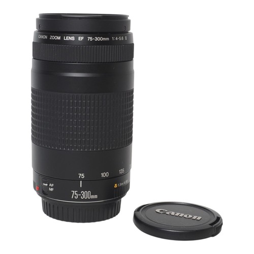 Canon 300 4 - ef, mm