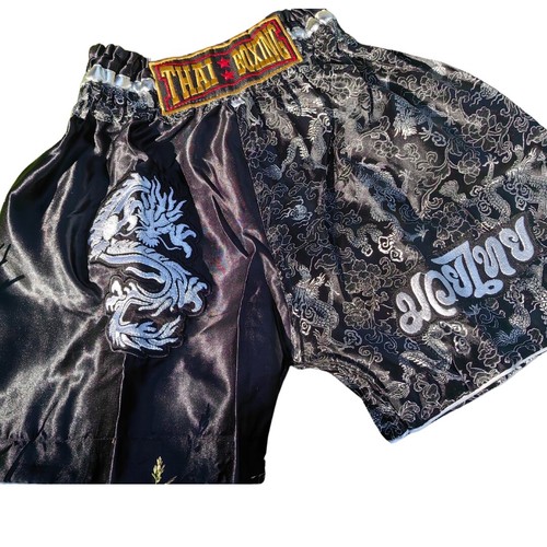 Thai boxing dragon - thai,