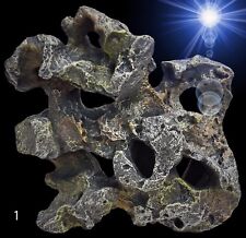 Aquarium Deko 🍀LEICHTES LOCHGESTEIN 🍀 Terrarium Dekoration Zubehör bepflanzbar