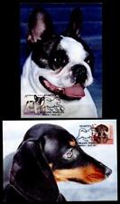 Junge Hunde:Bulldogge,Dackel,Cocker Spaniel,Chihuahua.4Maxikart.Weißrußland 2017